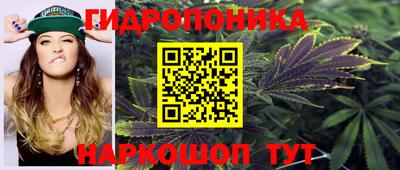 мдпв Шебекино