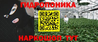 spice Чапаевск