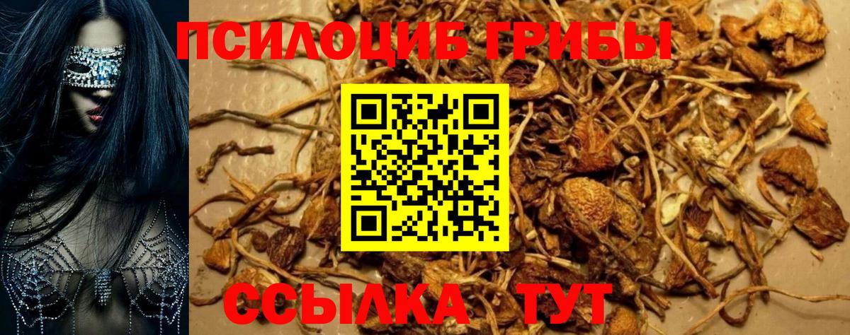 Галлюциногенные грибы Magic Shrooms Чистополь